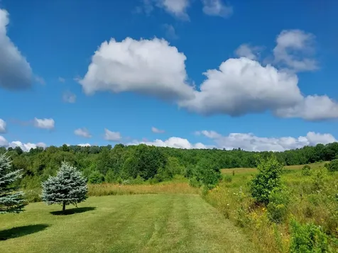 00 Walden Hill Road Danville VT 05828