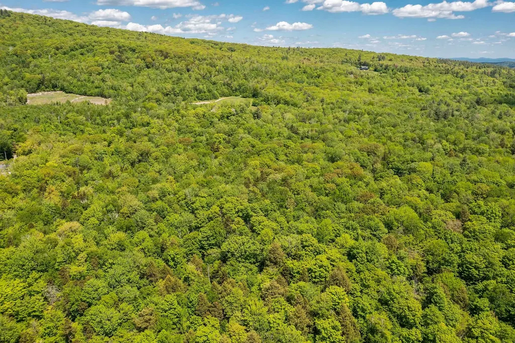 1809 Marsh Hill Road Andover VT 05143