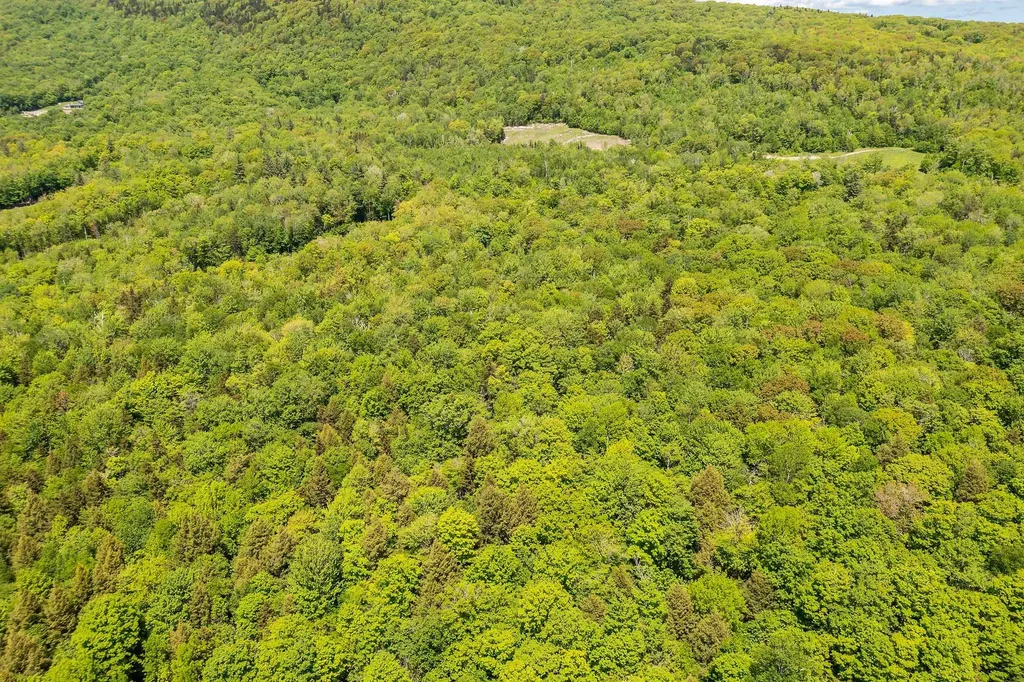 1809 Marsh Hill Road Andover VT 05143