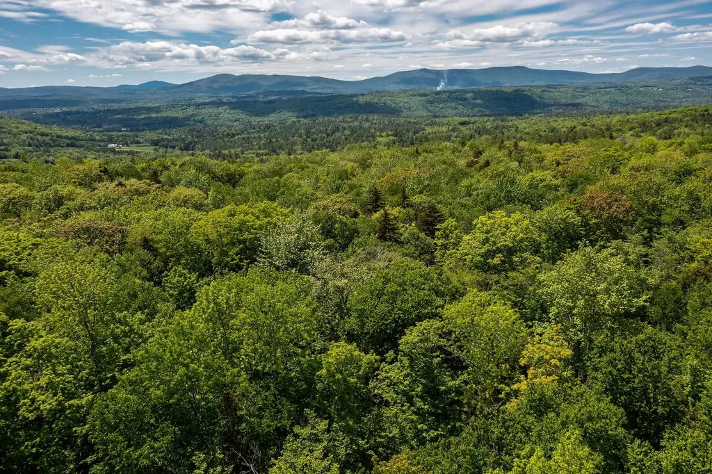 1809 Marsh Hill Road Andover VT 05143