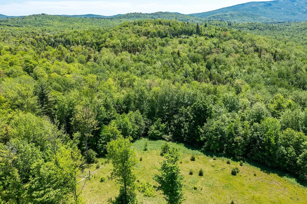 1809 Marsh Hill Road Andover VT 05143