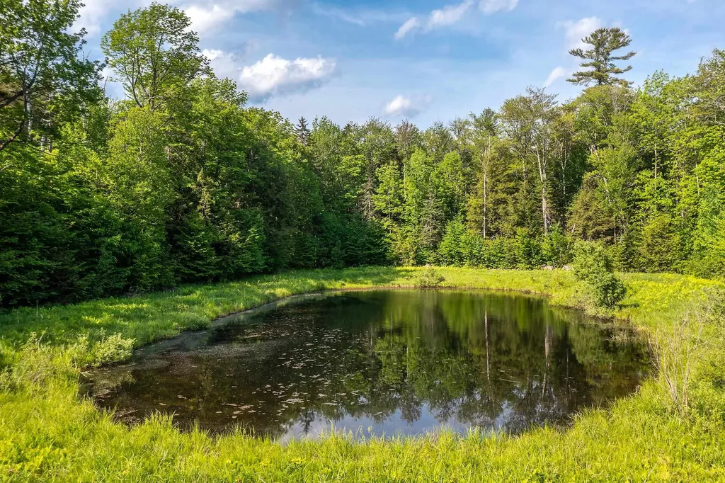 1809 Marsh Hill Road Andover VT 05143