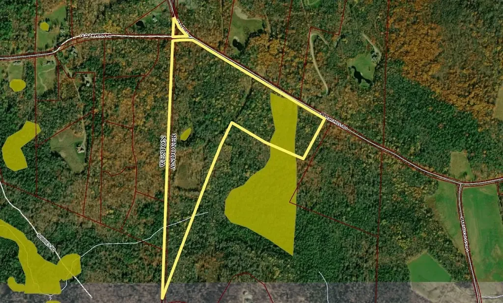 1809 Marsh Hill Road Andover VT 05143