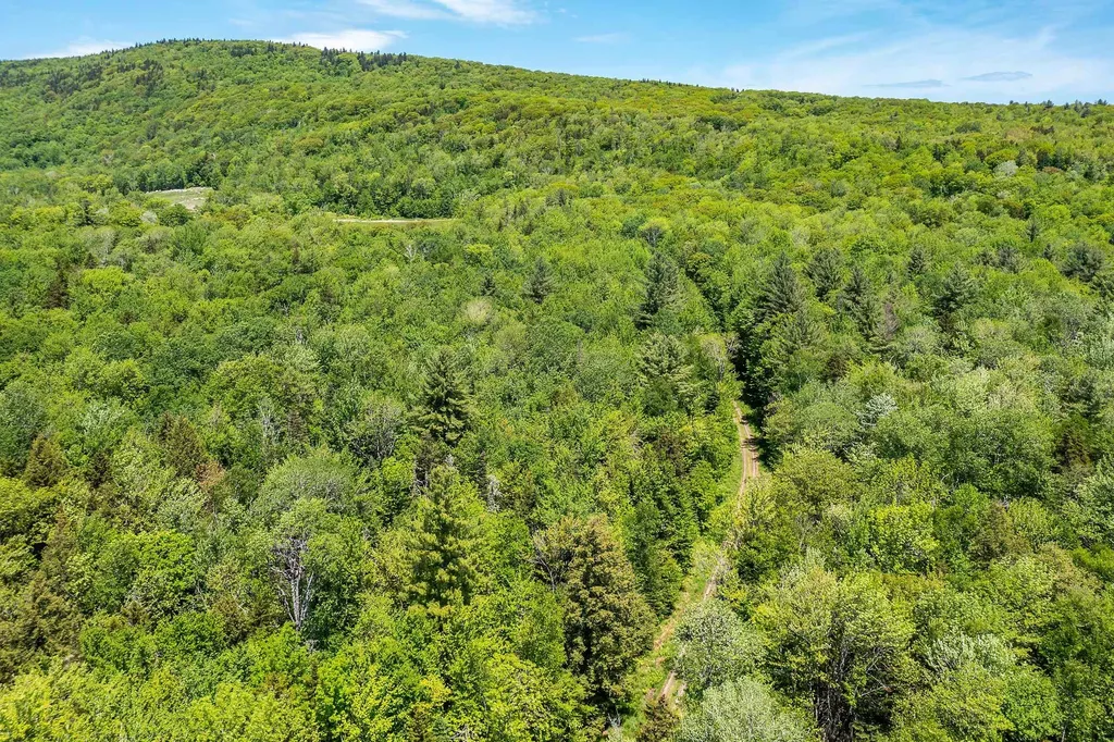 1809 Marsh Hill Road Andover VT 05143