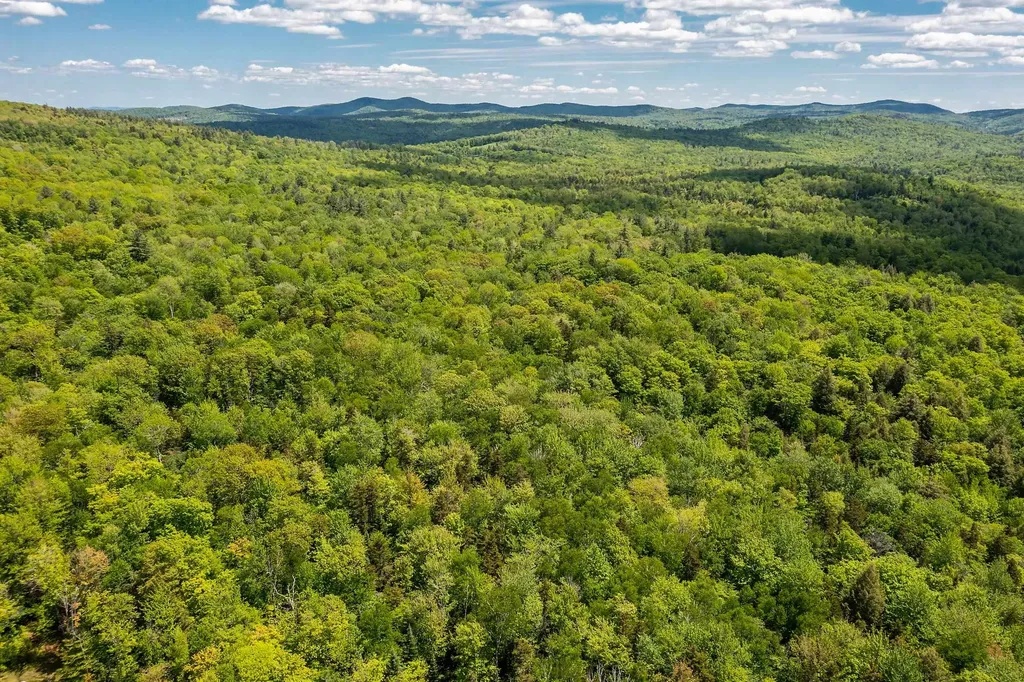 1809 Marsh Hill Road Andover VT 05143