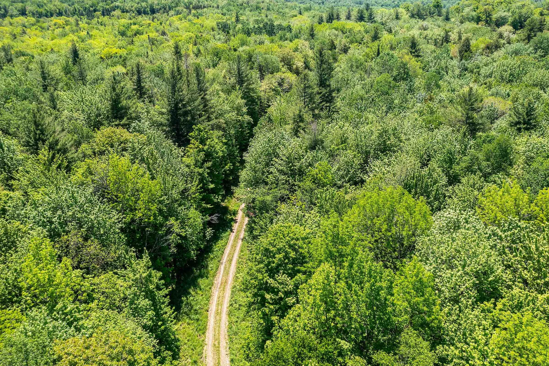 1809 Marsh Hill Road Andover VT 05143