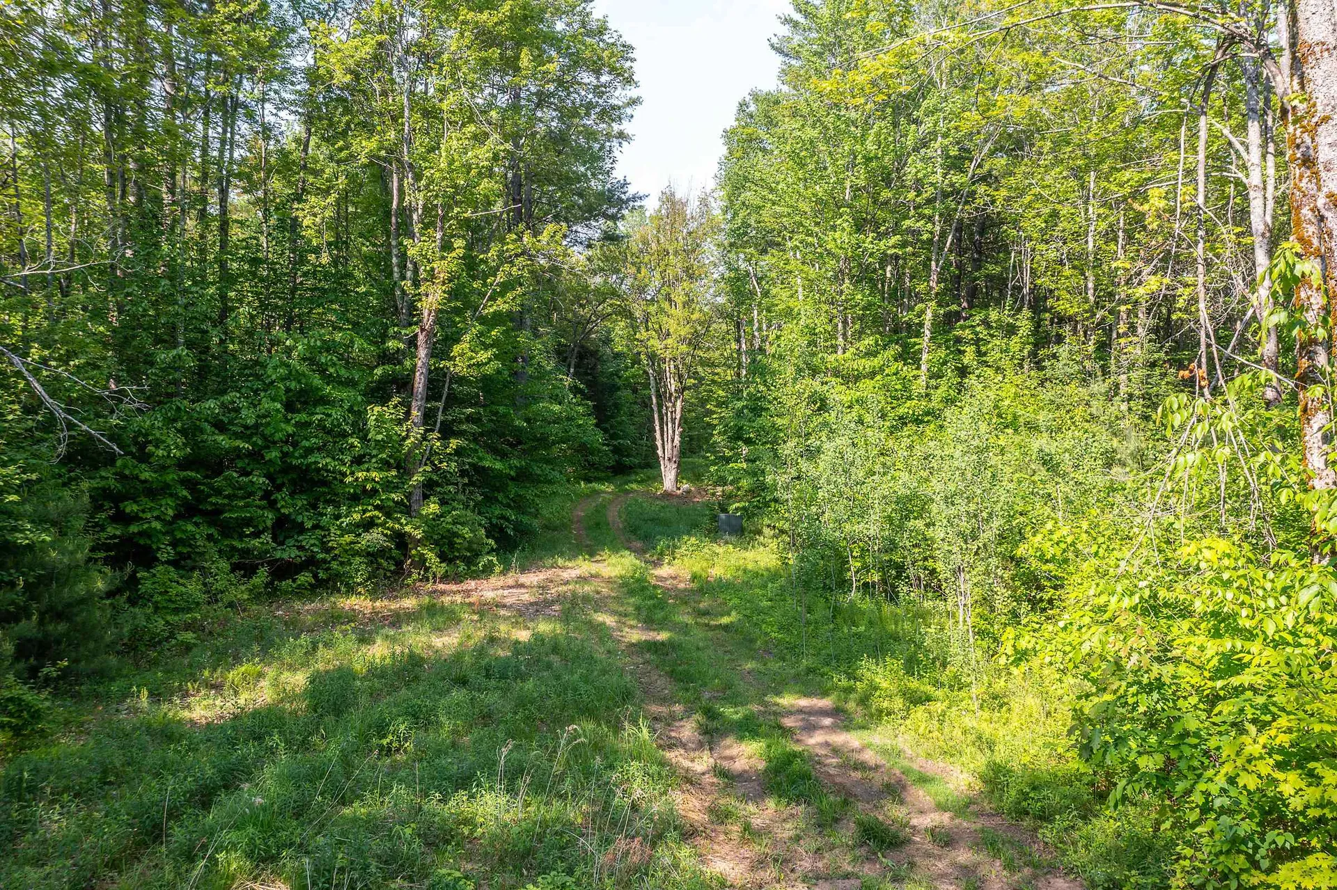 1809 Marsh Hill Road Andover VT 05143