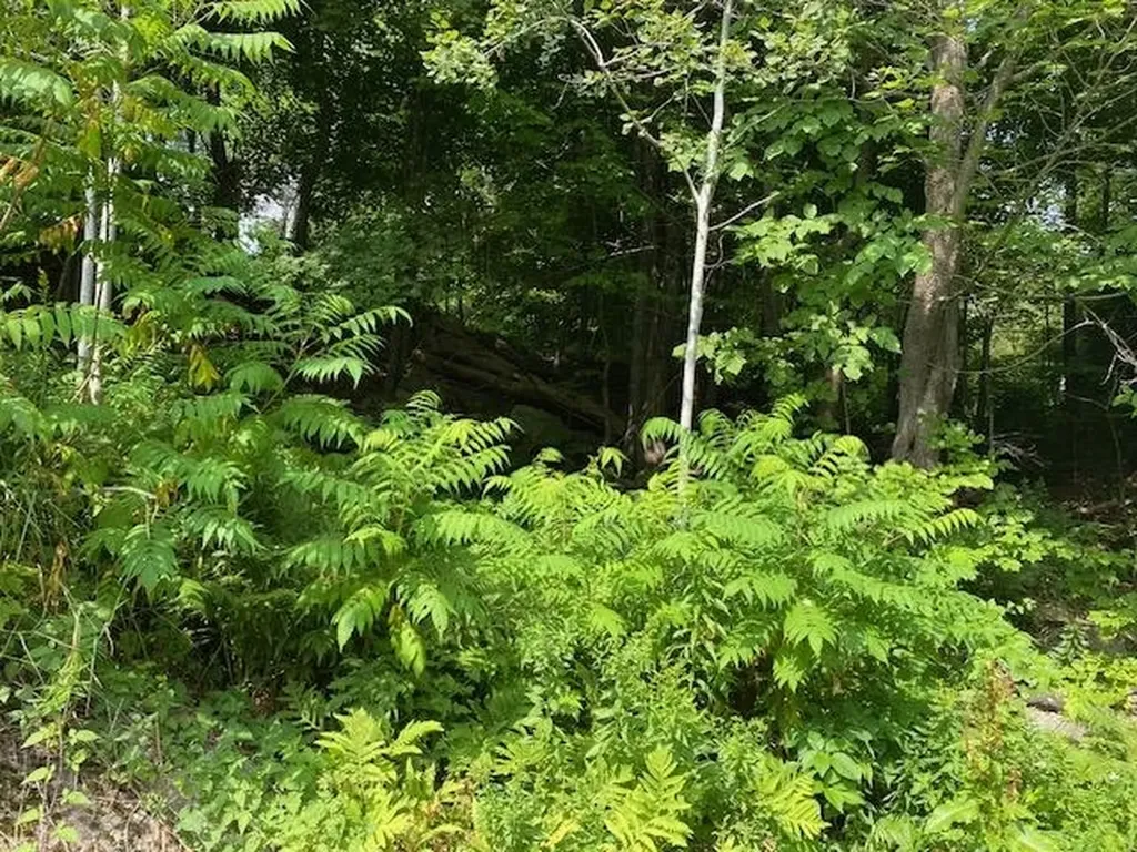 448 Church Street Berlin NH 03570