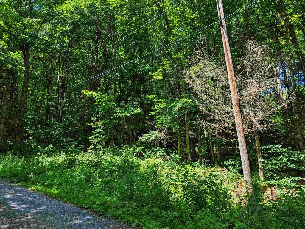 Alpendorf Avenue Readsboro VT 05350