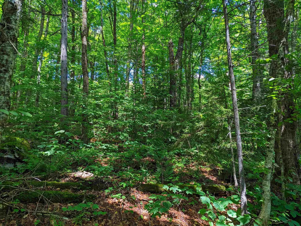 Alpendorf Avenue Readsboro VT 05350