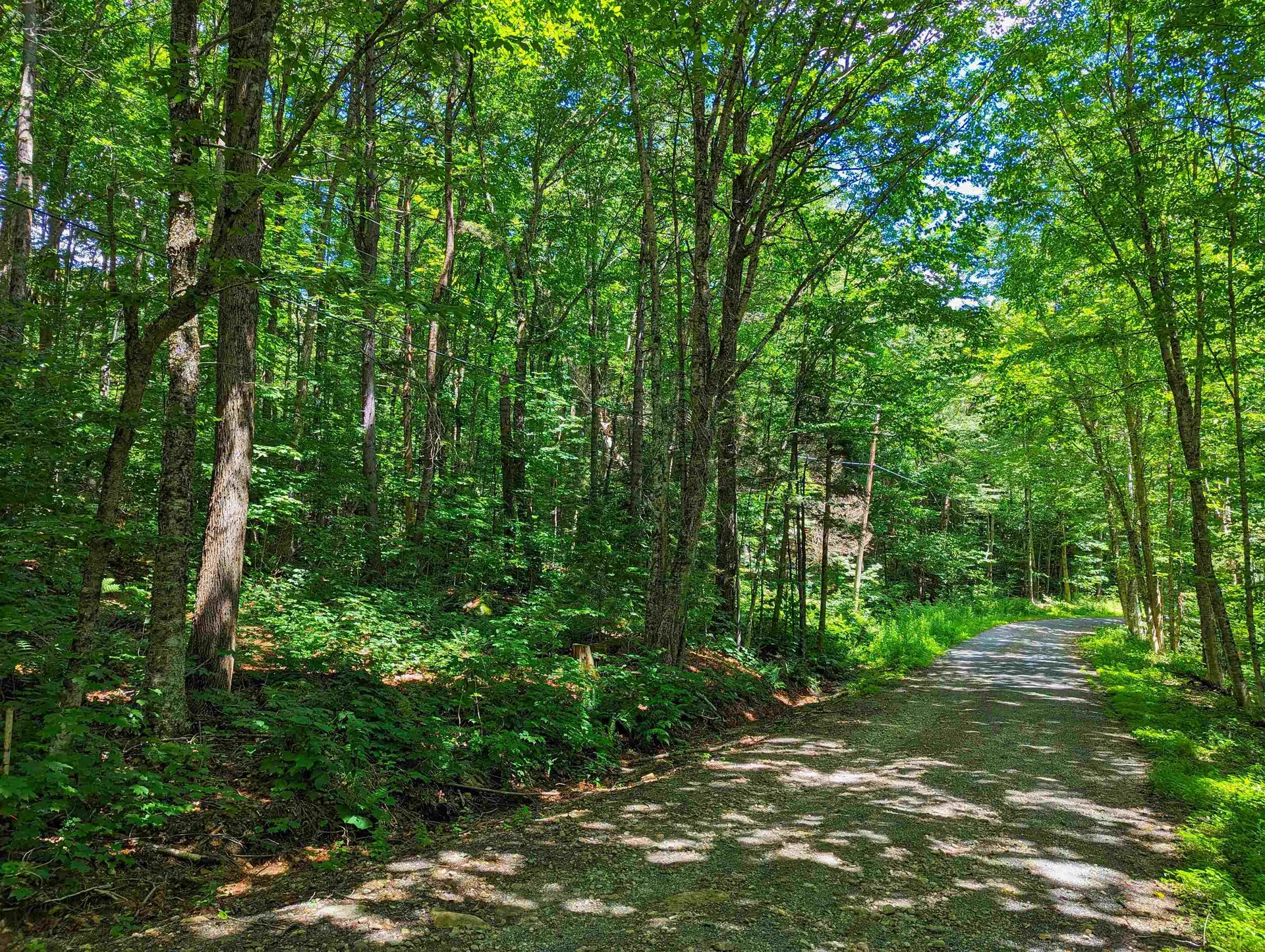 Alpendorf Avenue Readsboro VT 05350