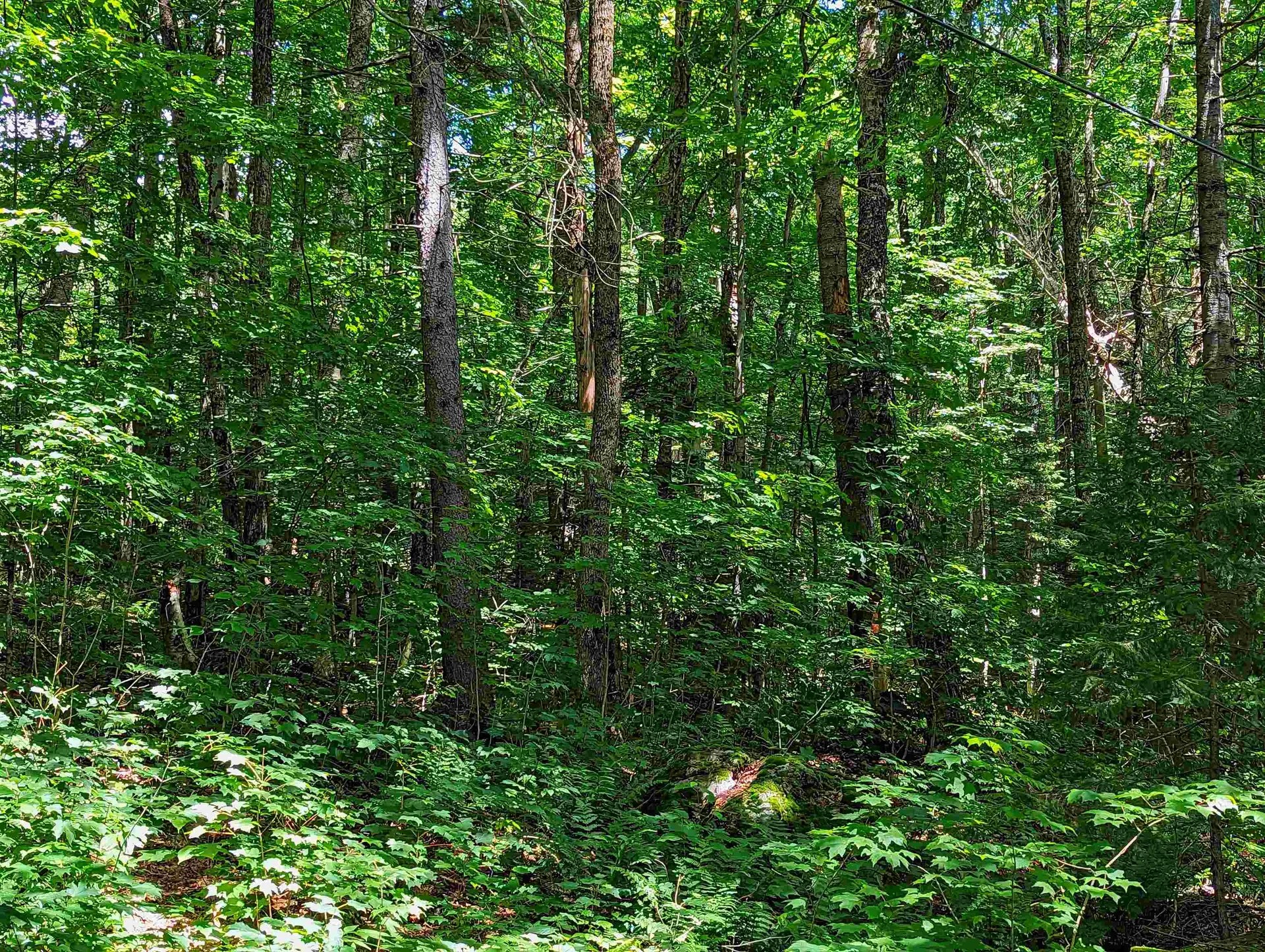 Alpendorf Avenue Readsboro VT 05350