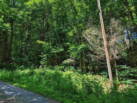 Alpendorf Avenue Readsboro VT 05350