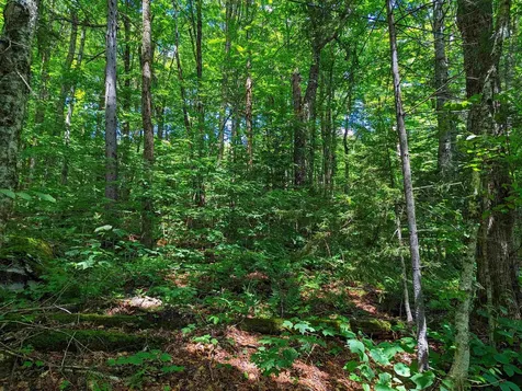 Alpendorf Avenue Readsboro VT 05350