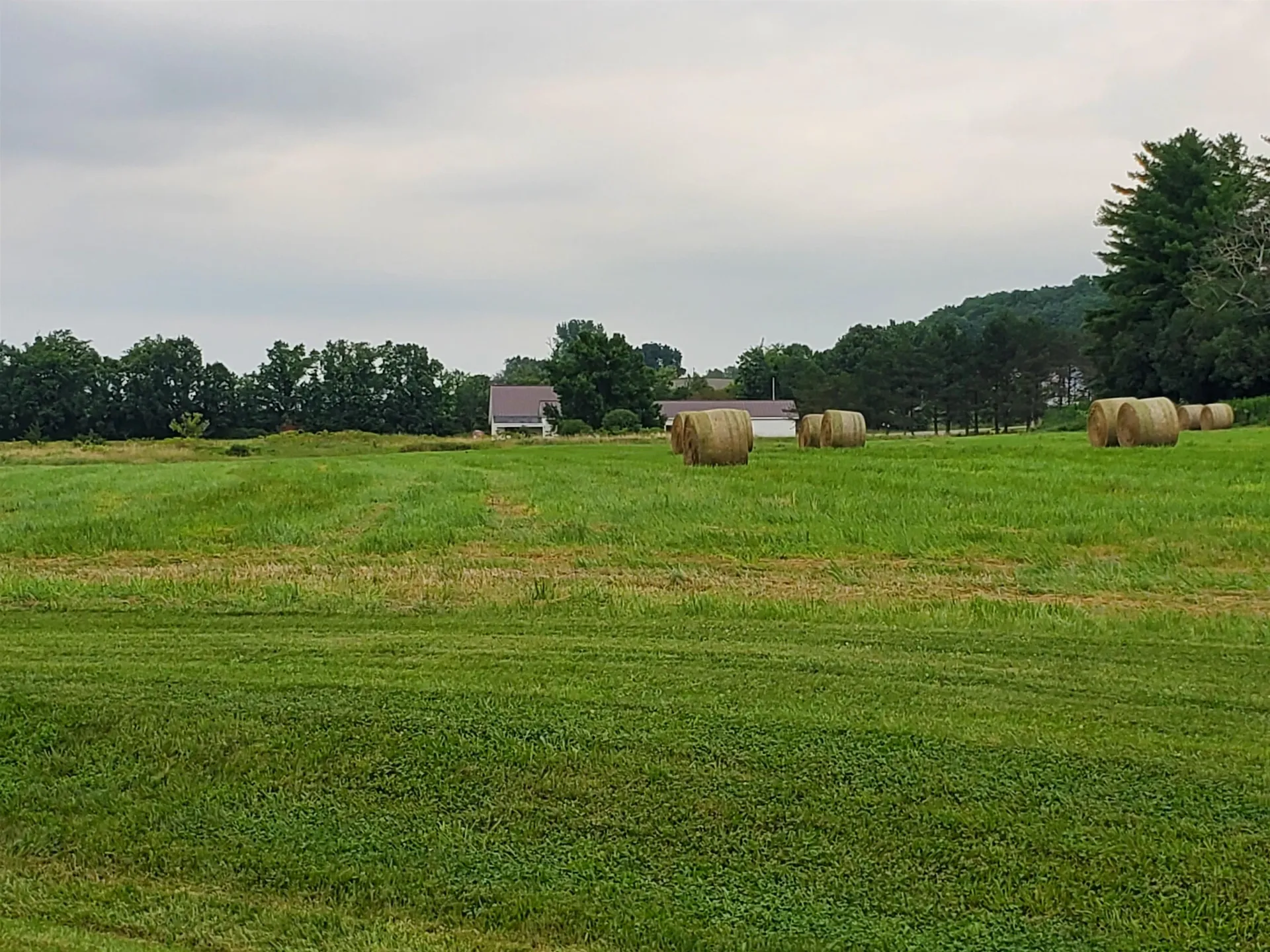 Tbd Park Lane Ferrisburgh VT 05456