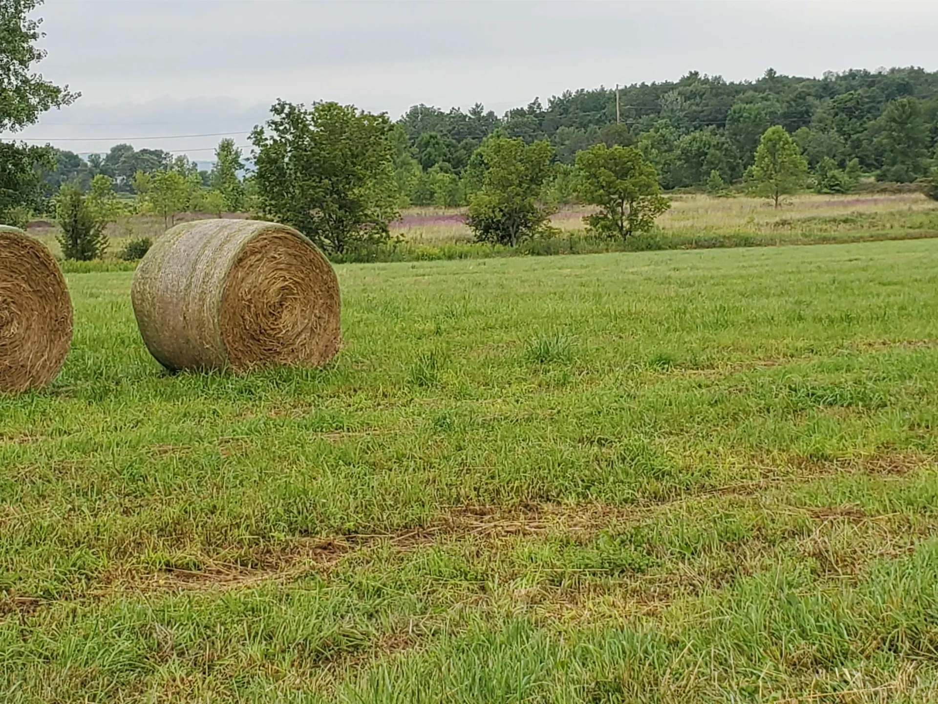 Tbd Park Lane Ferrisburgh VT 05456