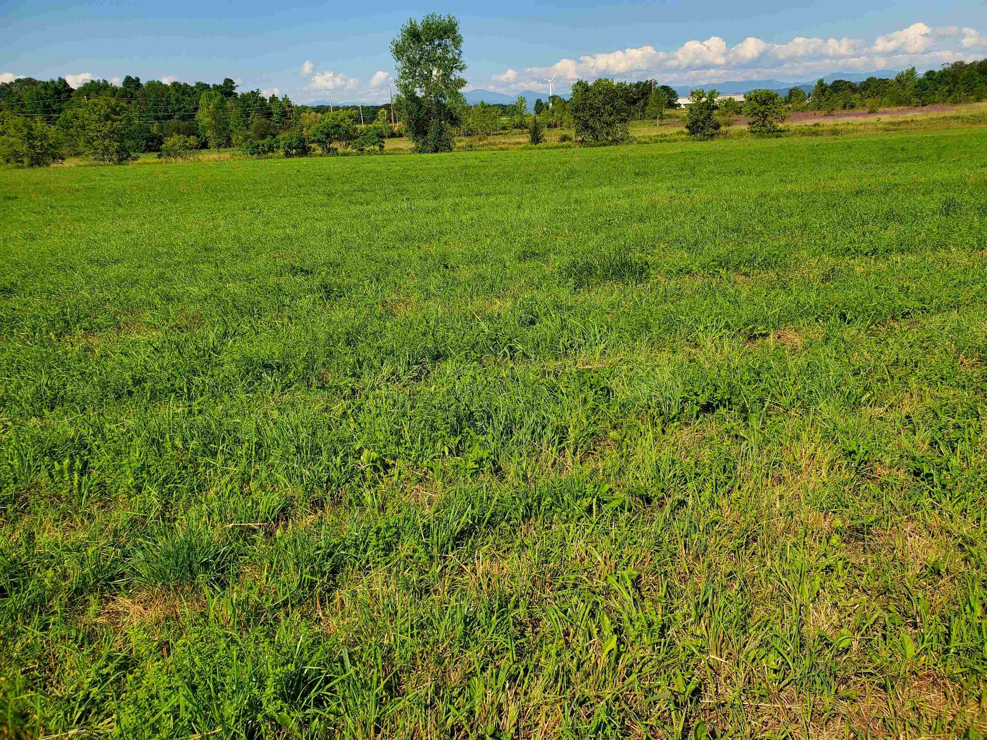 Tbd Park Lane Ferrisburgh VT 05456