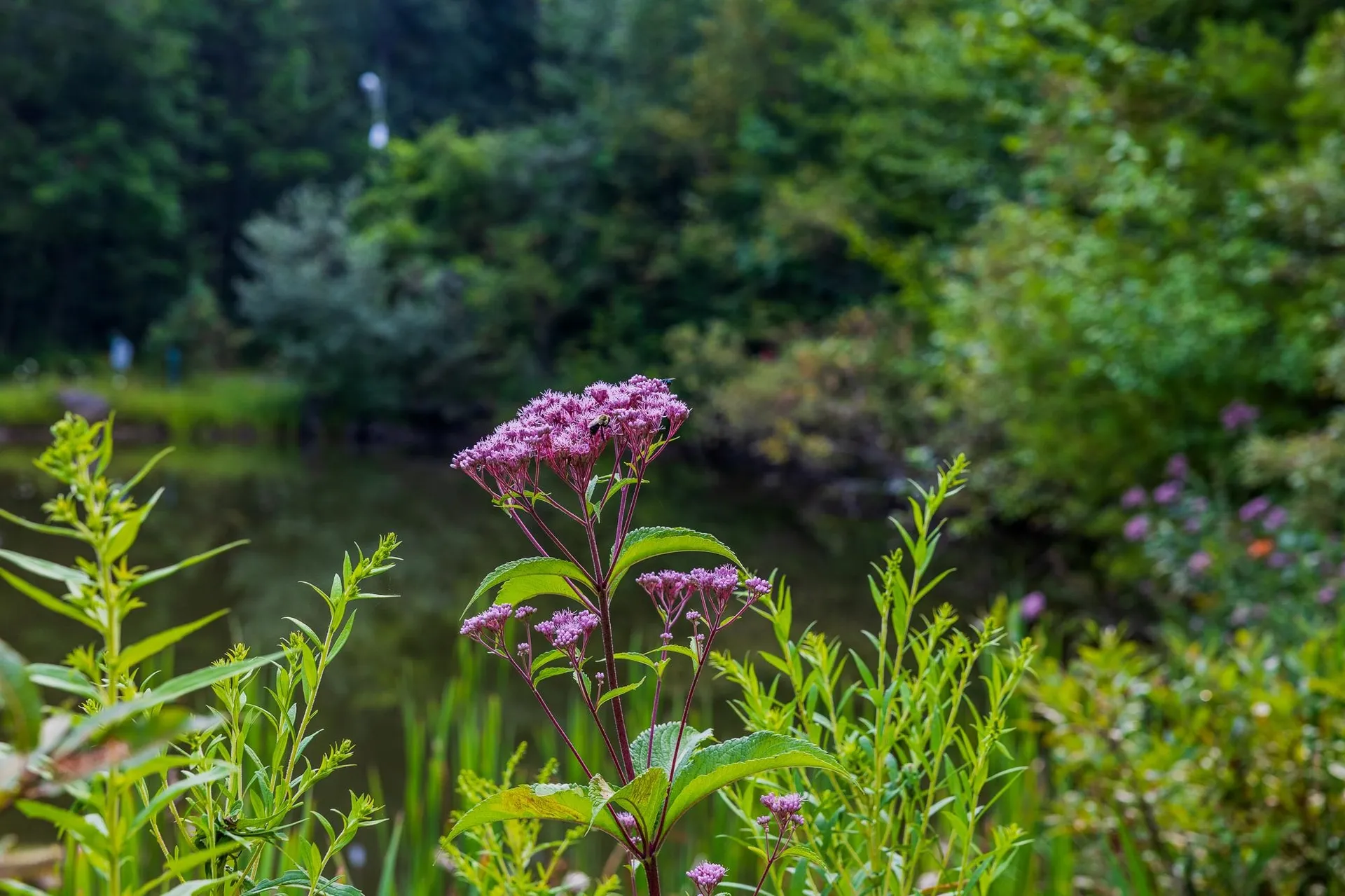 398 Valley View Road Hartford VT 05001