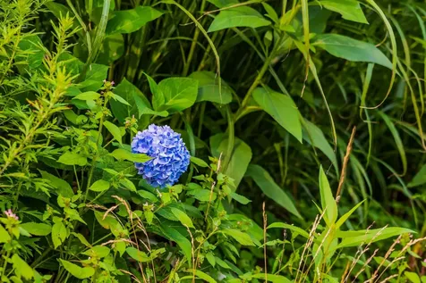 398 Valley View Road Hartford VT 05001