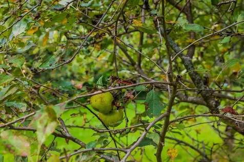 398 Valley View Road Hartford VT 05001