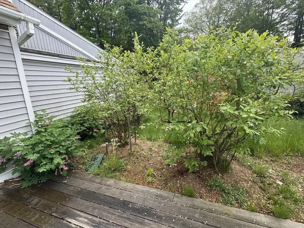 178 Sand Hill Road Essex VT 05452