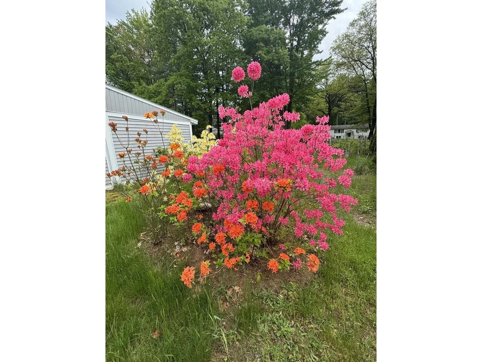 178 Sand Hill Road Essex VT 05452