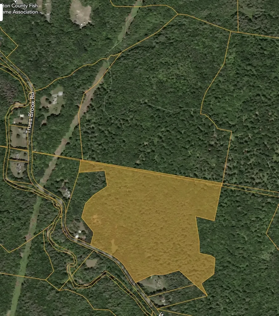 00 Willow Brook Road Plainfield NH 03781