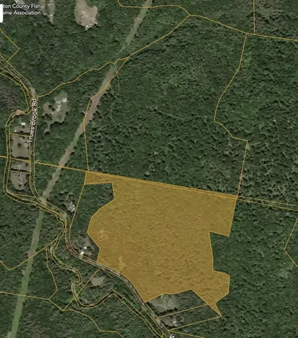 00 Willow Brook Road Plainfield NH 03781