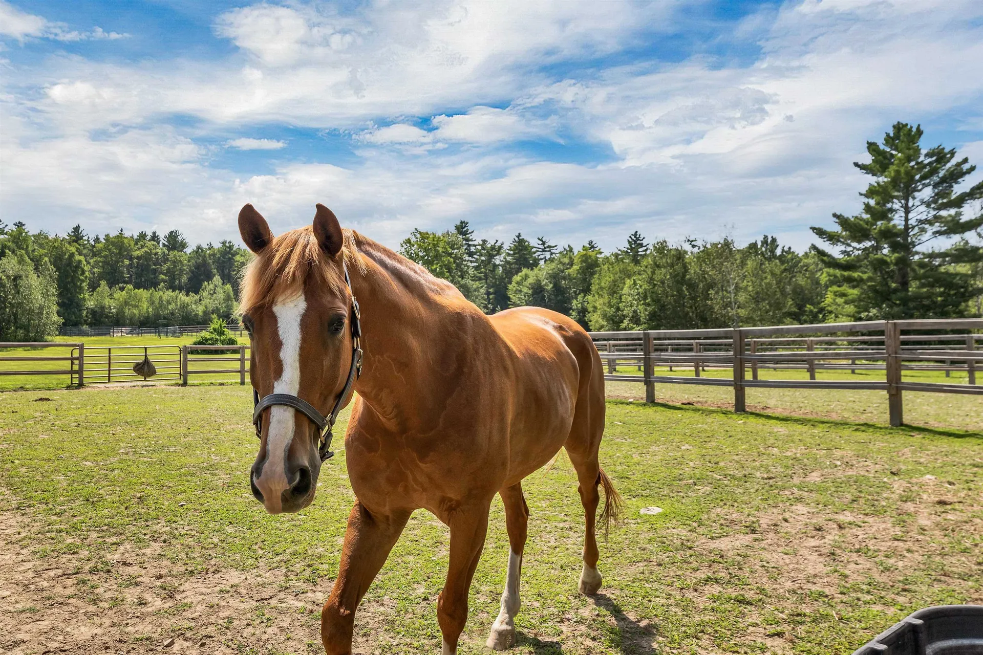 251 Wentworth Road Brookfield NH 03872