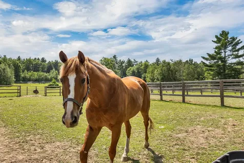 251 Wentworth Road Brookfield NH 03872