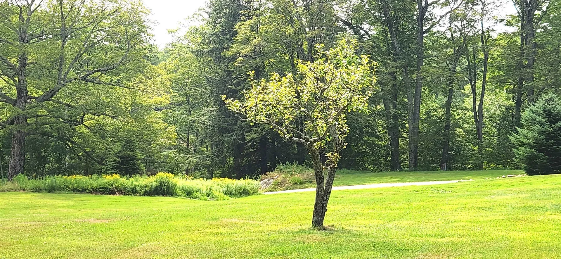 225B Belvedere Road Gilsum NH 03448