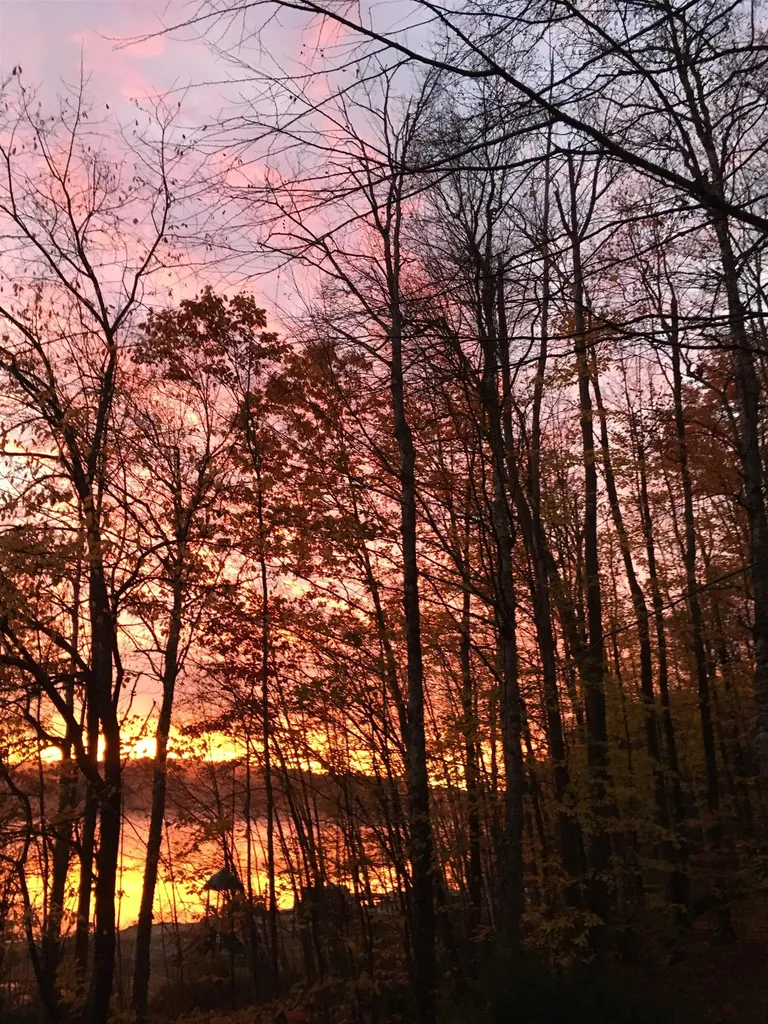 49 Old Beach Circle Grantham NH 03753