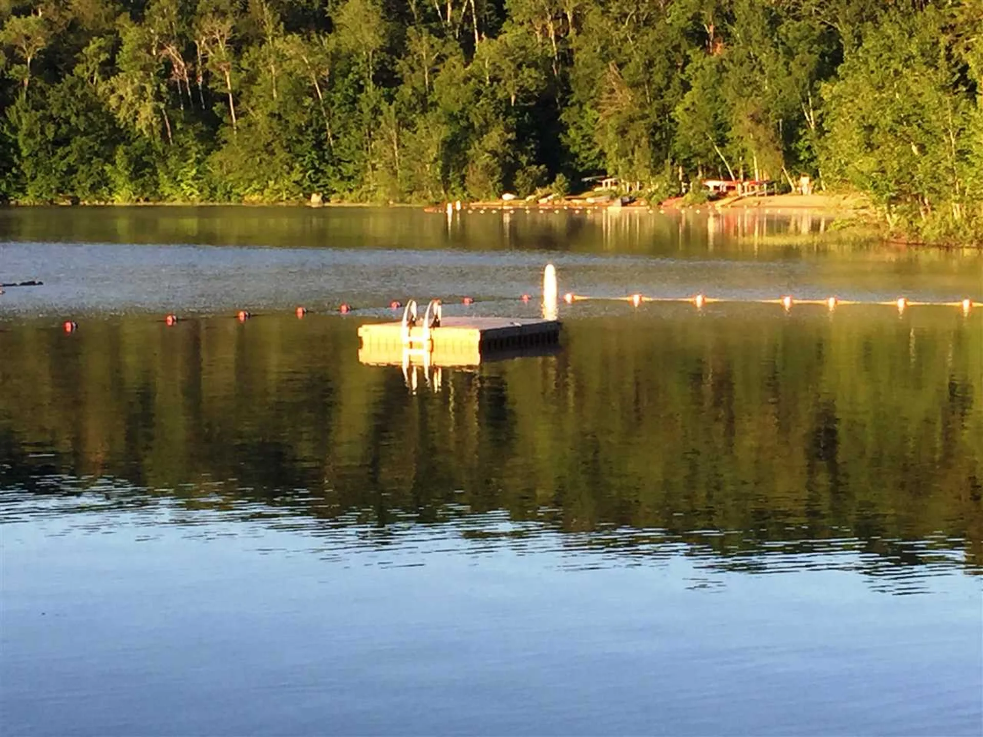 49 Old Beach Circle Grantham NH 03753