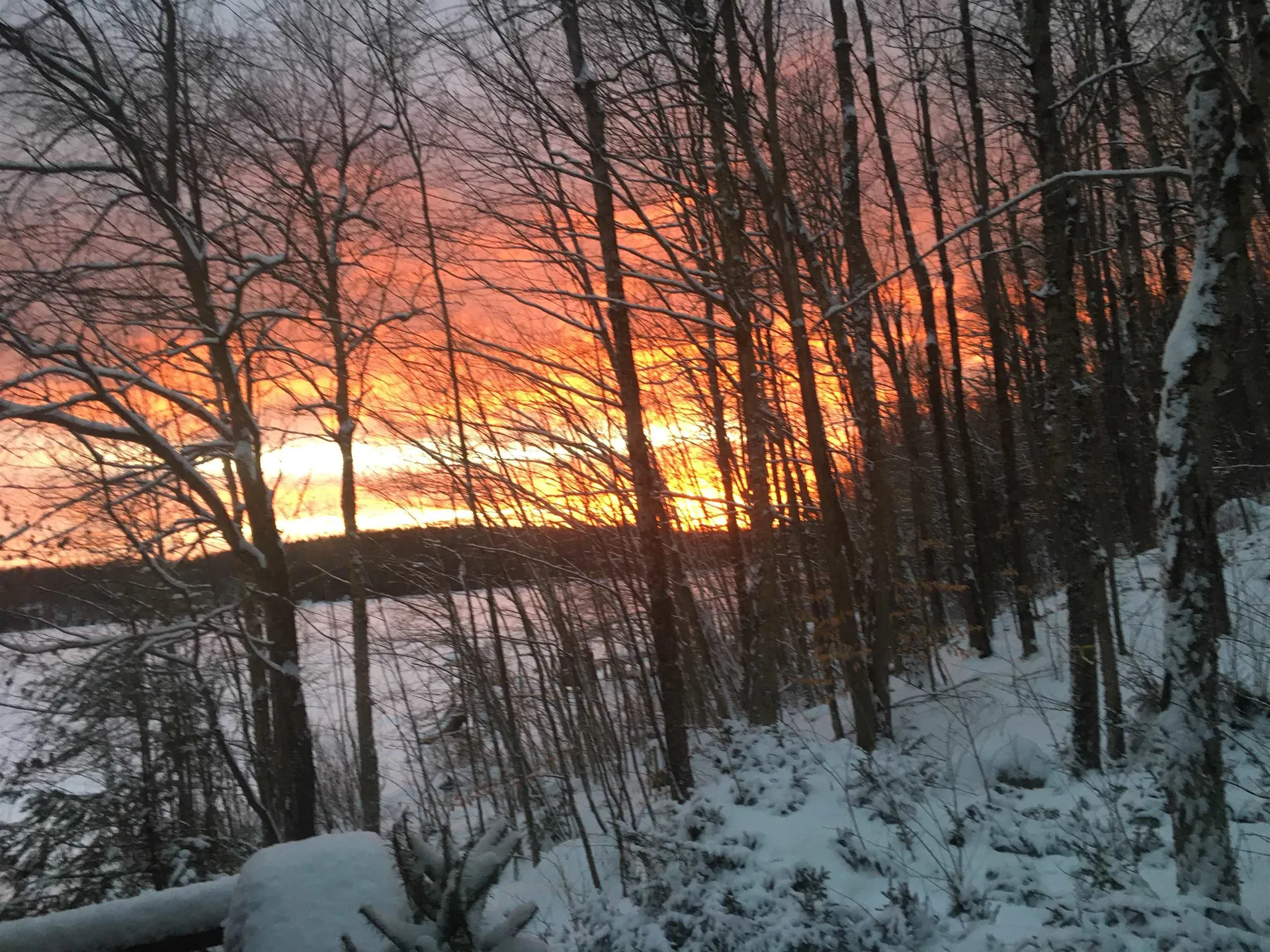 49 Old Beach Circle Grantham NH 03753