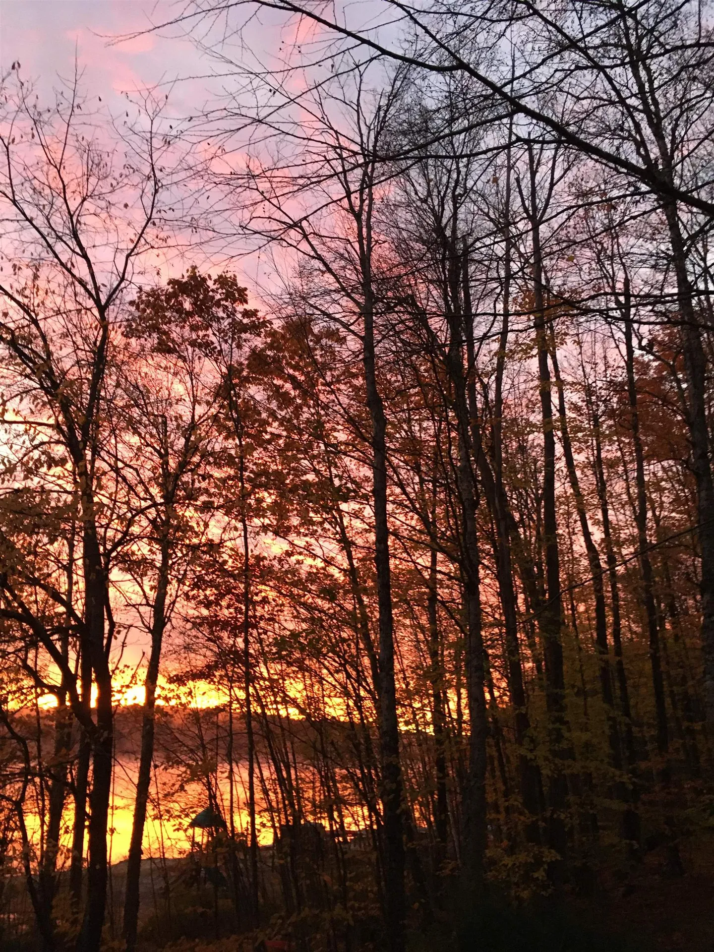 49 Old Beach Circle Grantham NH 03753