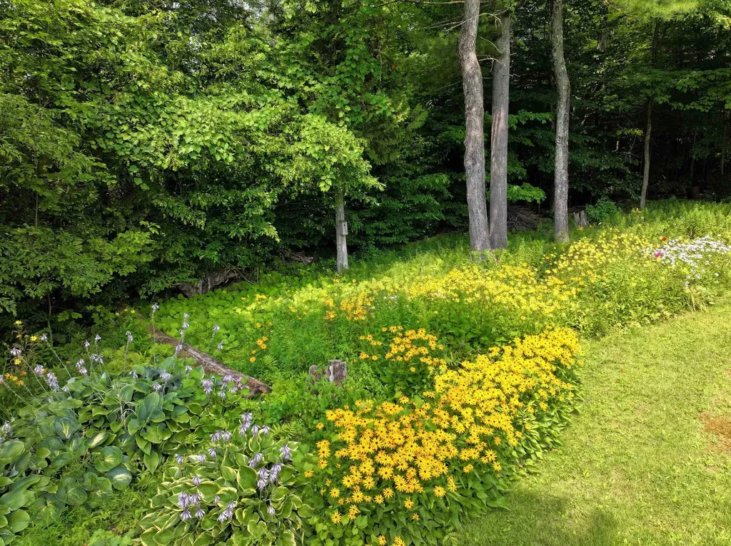 198 Hooker Road Leicester VT 05733