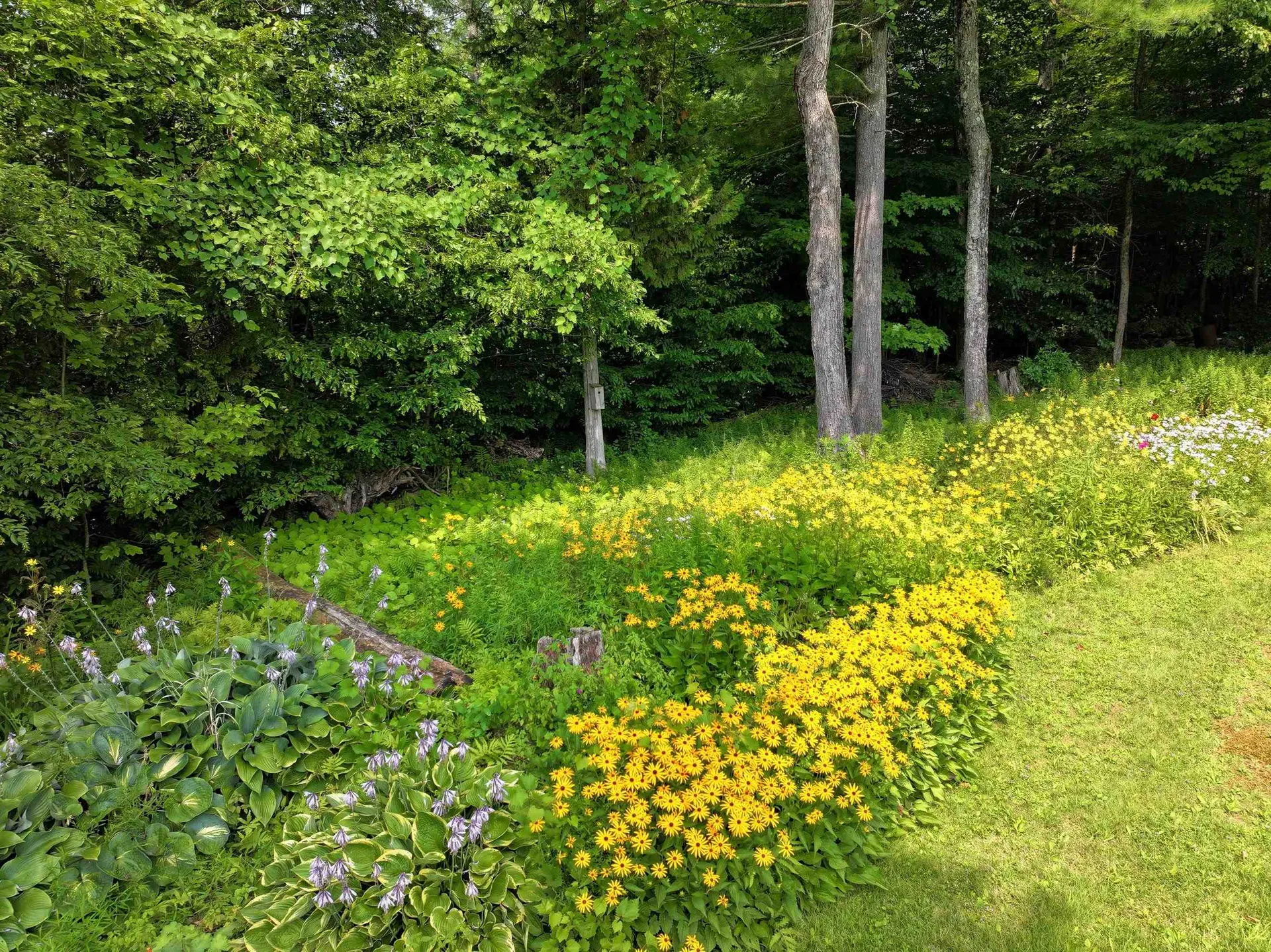 198 Hooker Road Leicester VT 05733