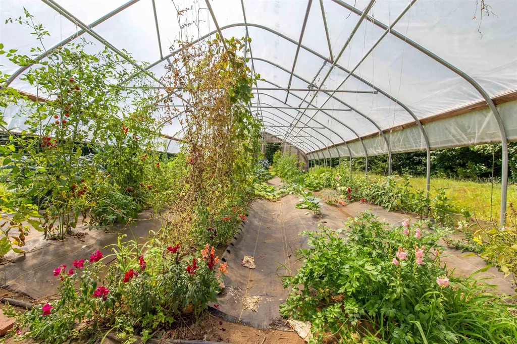 900 Bunker Hill Road Tamworth NH 03883