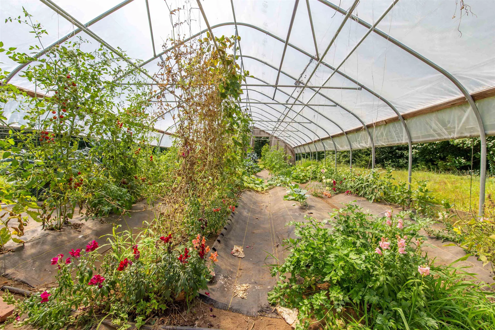 900 Bunker Hill Road Tamworth NH 03883