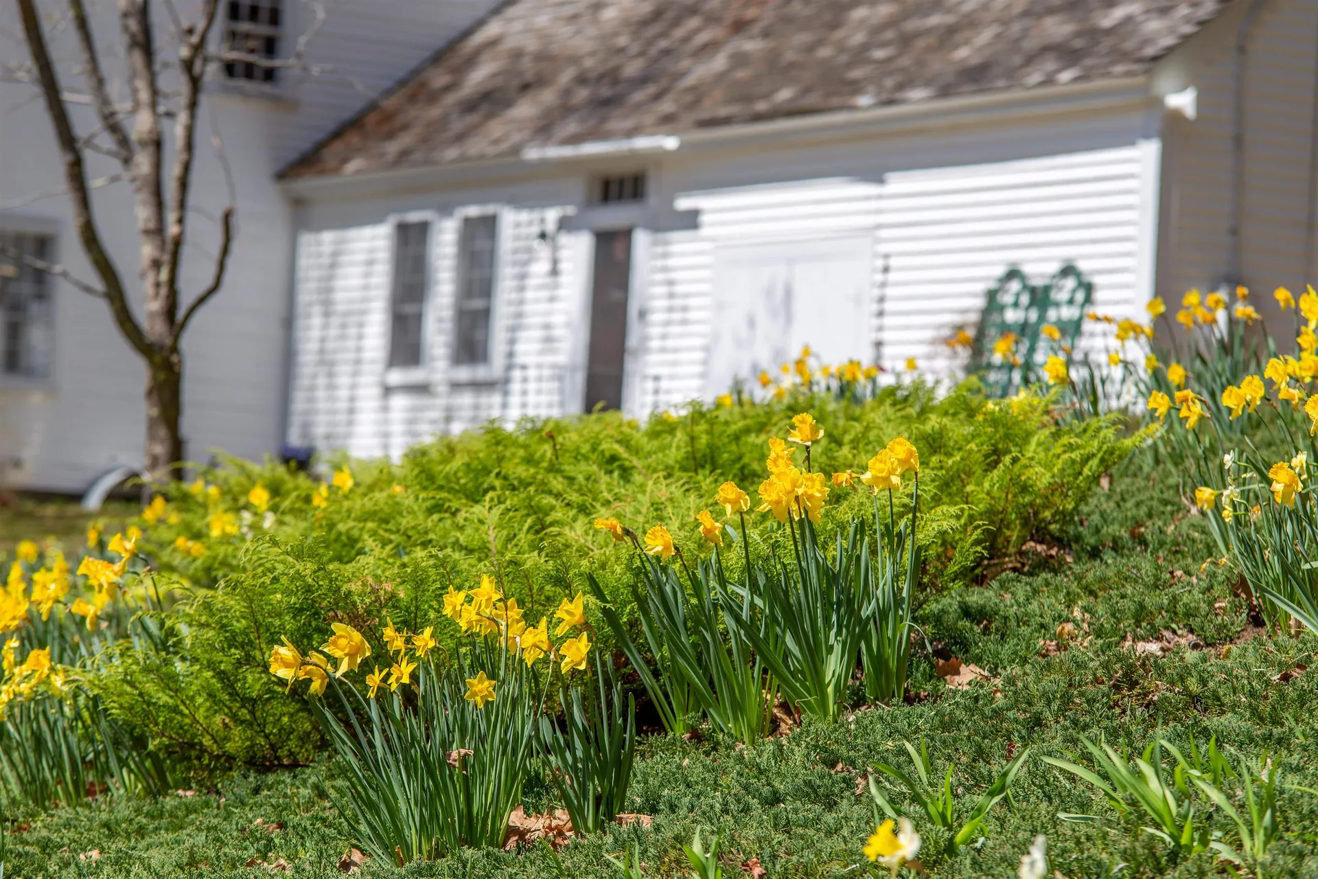 900 Bunker Hill Road Tamworth NH 03883