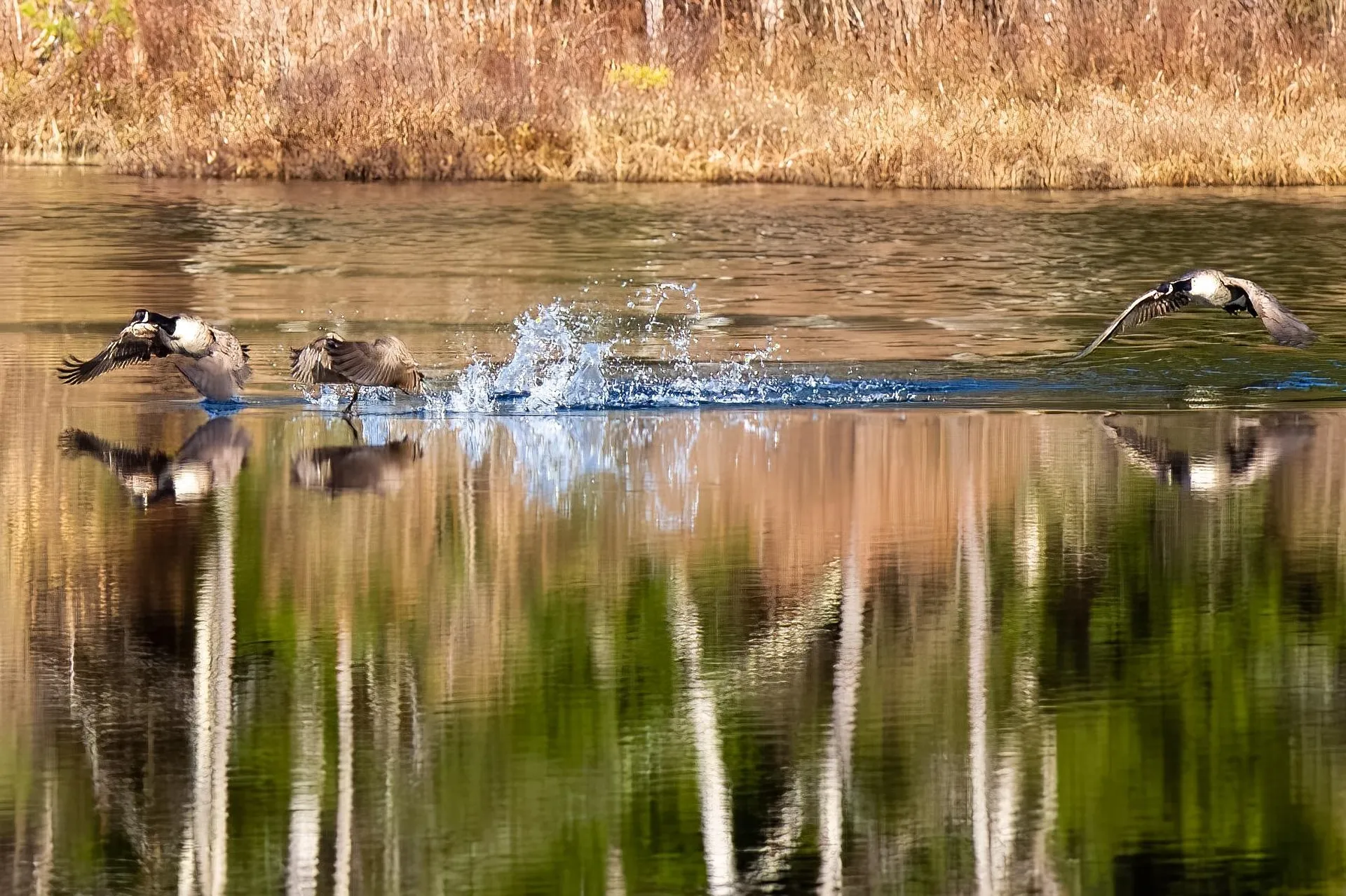 900 Bunker Hill Road Tamworth NH 03883