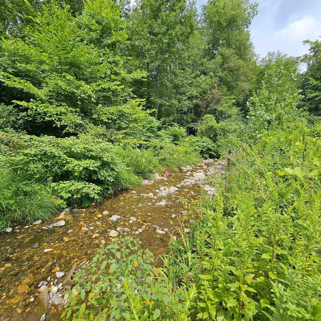 161 Valley Brook Drive Westminster VT 05158-9608