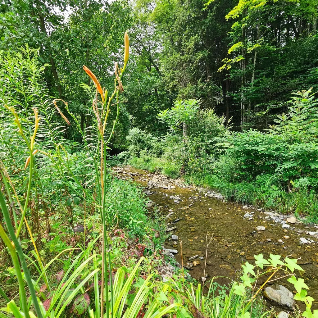 161 Valley Brook Drive Westminster VT 05158-9608