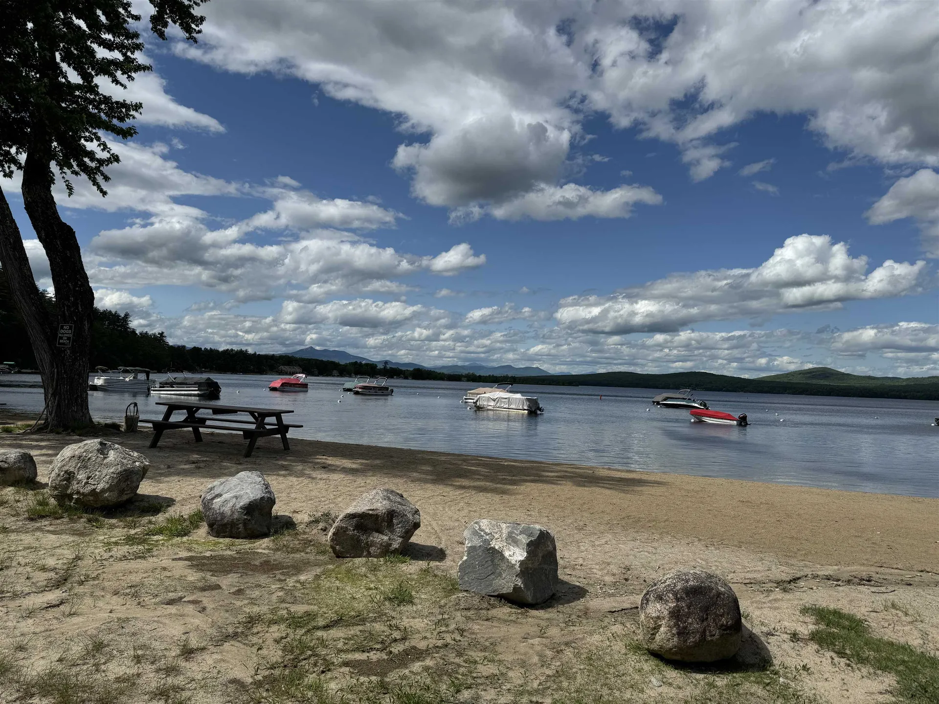 56 Bluffs Boulevard Ossipee NH 03814