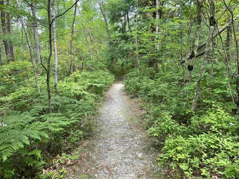 56 Bluffs Boulevard Ossipee NH 03814