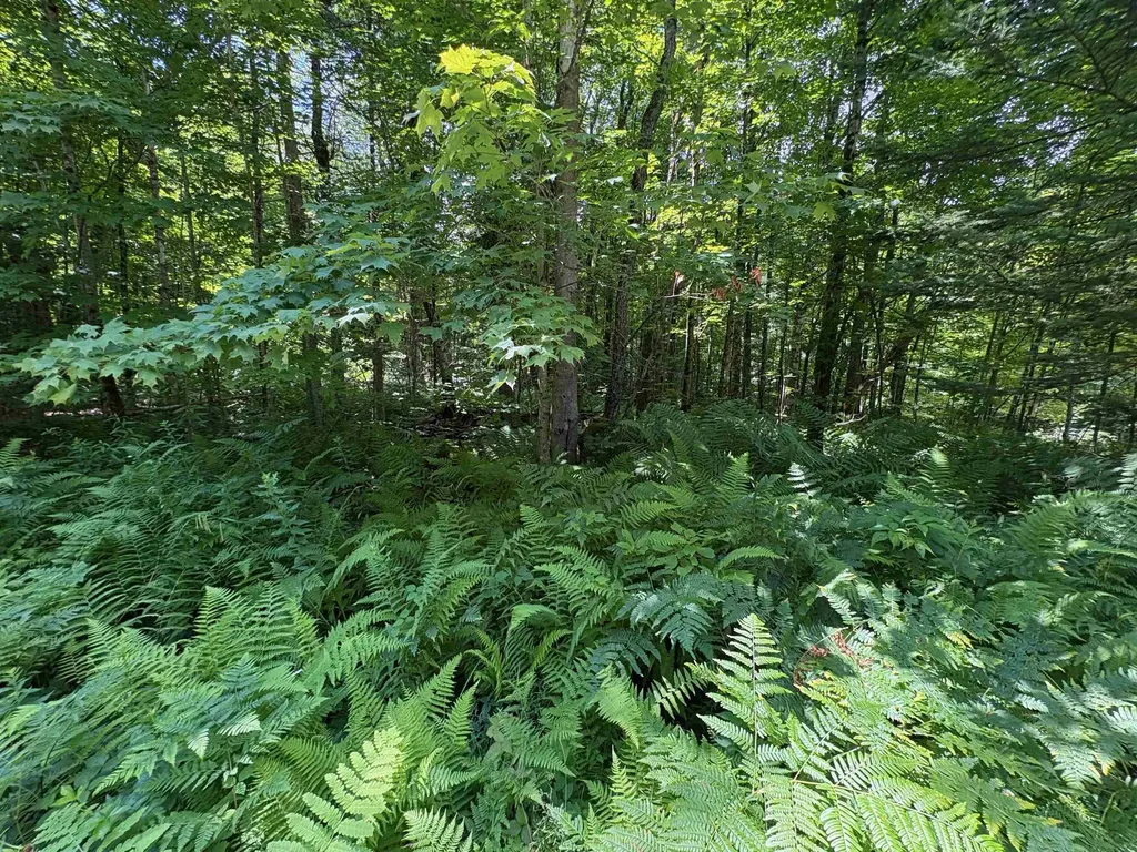 00 Robtoy Road Lowell VT 05847