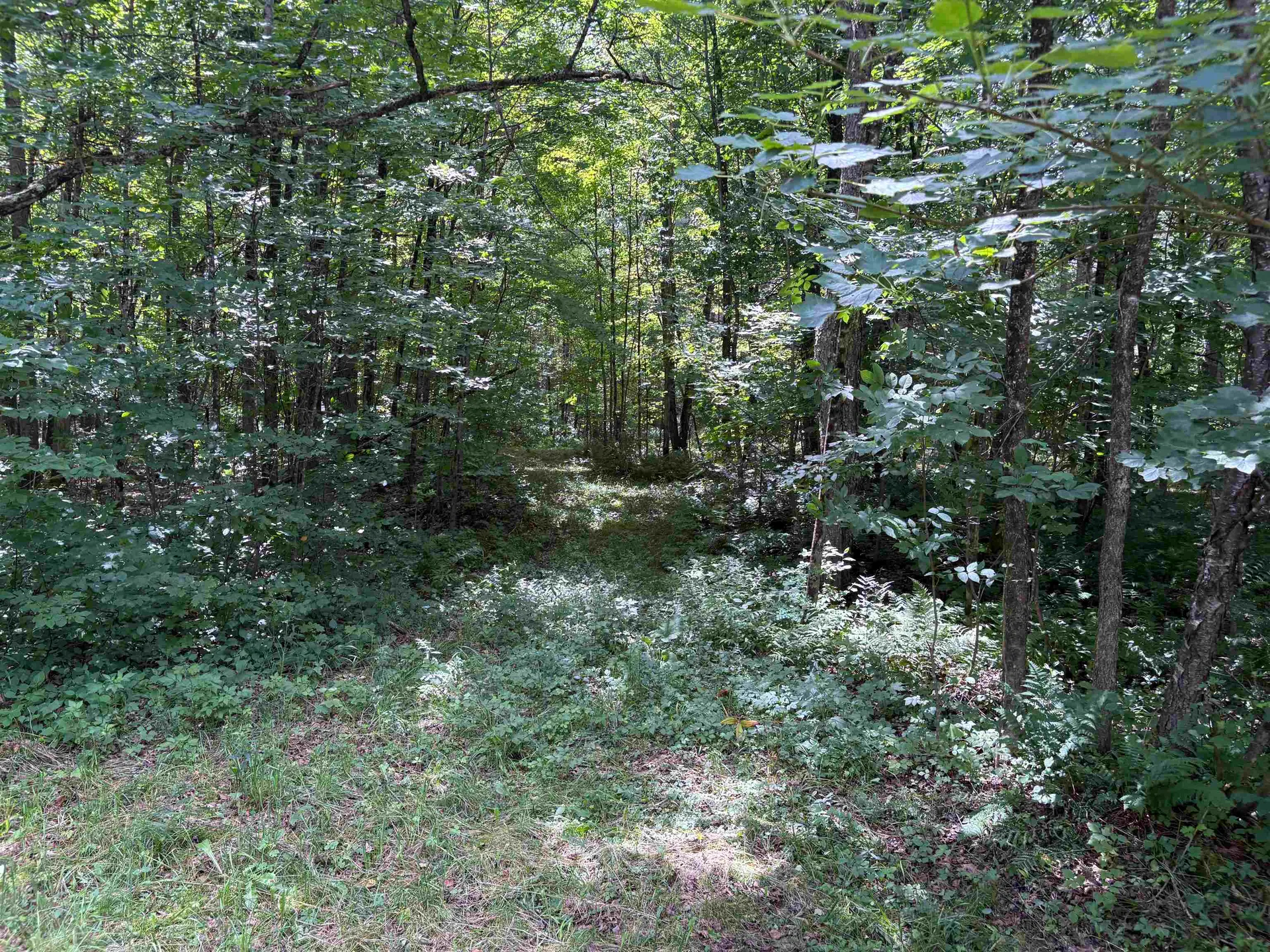 00 Robtoy Road Lowell VT 05847