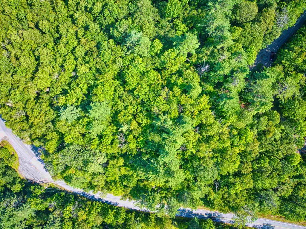 72 Draper Mill Road Grantham NH 03753