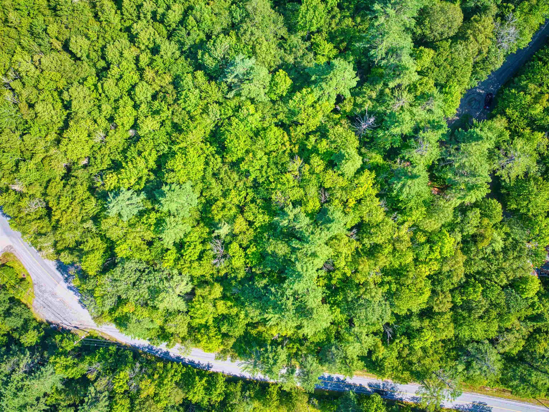 72 Draper Mill Road Grantham NH 03753