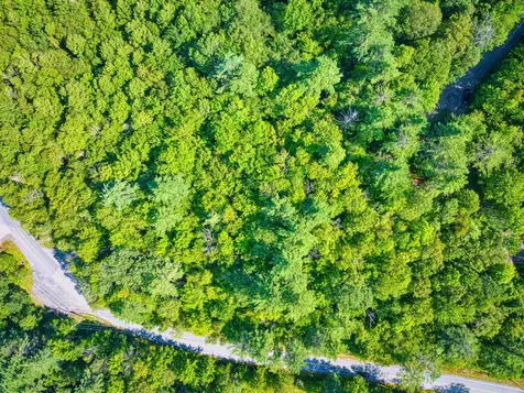 72 Draper Mill Road Grantham NH 03753